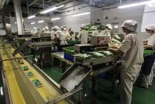 食品機械科技 驅動食品企業邁向新時代的強大引擎